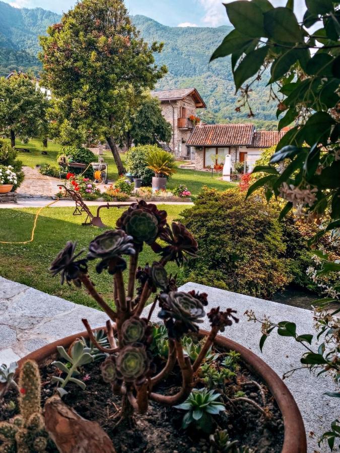 La Volta - Lake Como Heritage Home In Molino Maufet Watermill - Patio On The Garden Colico Exterior foto